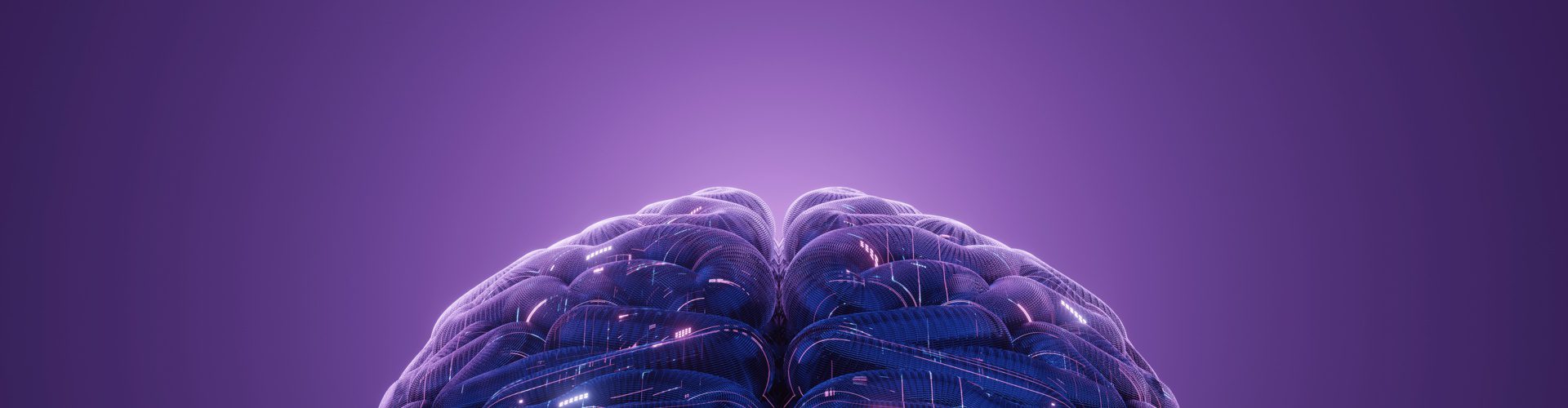CEPID BRAINN – Dia Nacional e Latino Americano sobre a Epilepsia – 2023 CEPID BRAINN - Dia Nacional e Latino Americano sobre a Epilepsia - 2023