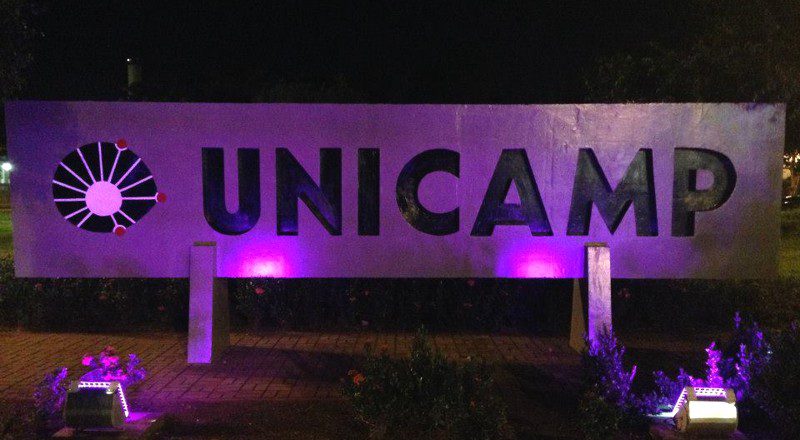 purple day epilepsia na unicamp