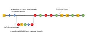 genoma grafo - bipmed