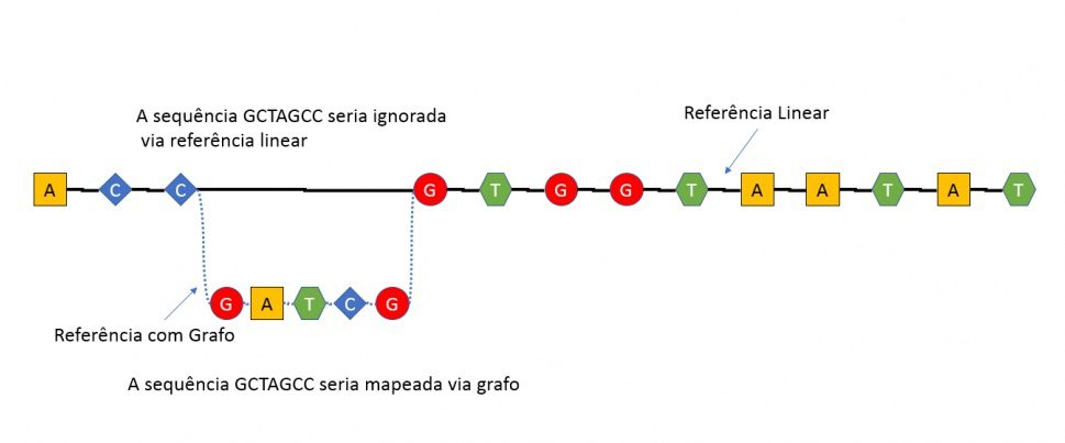 genoma grafo - bipmed