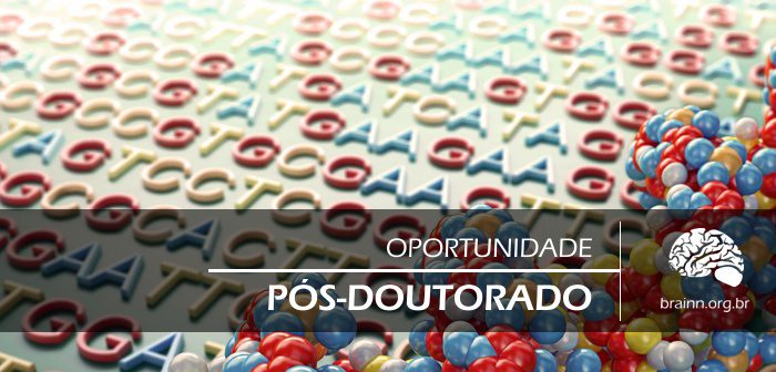 oportunidade de pos-doutorado no BRAINN