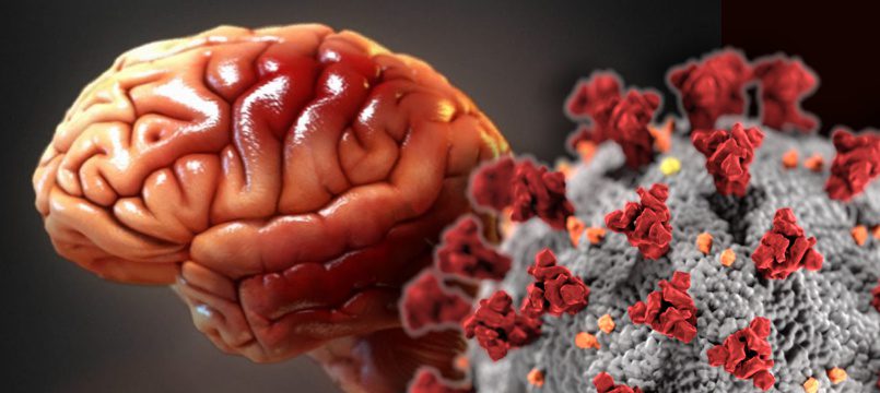 CEPID BRAINN - SARS-CoV2 no cerebro