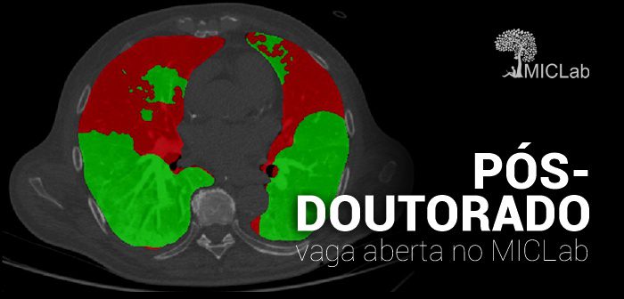 CEPID BRAINN - Vaga de Pos-Doutorado no MICLab v2